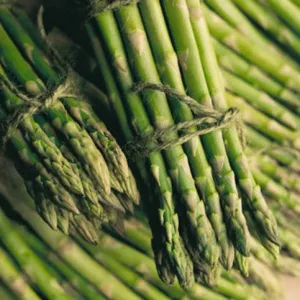 Asparagus - Mary Washington