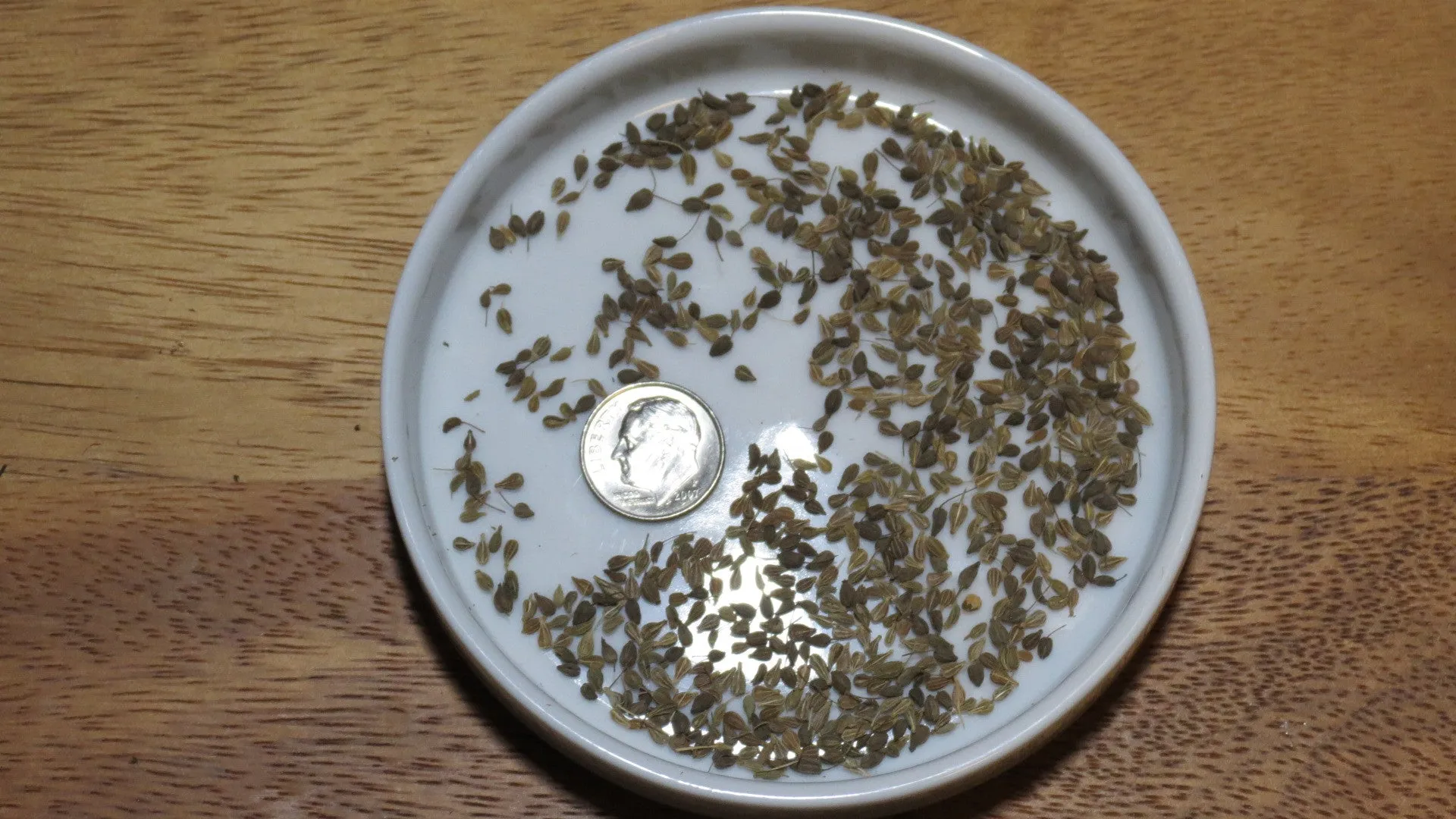 Herb Seeds Anise