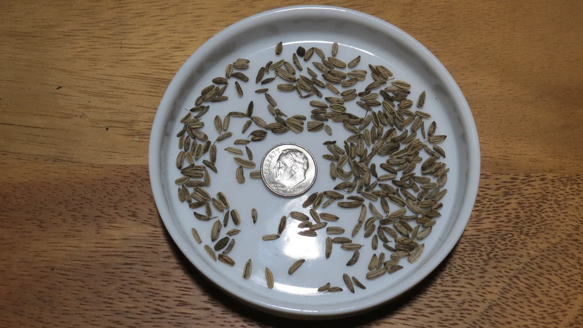 Herb Seeds Fennel