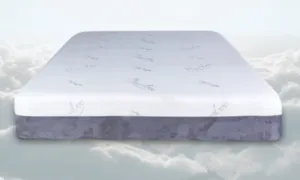 Latex Stimulated Bounce Mattress