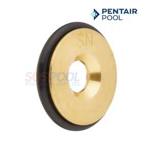 Pentair Propane to Natural Gas Conversion Kit For MasterTemp 250 Heaters | 460742