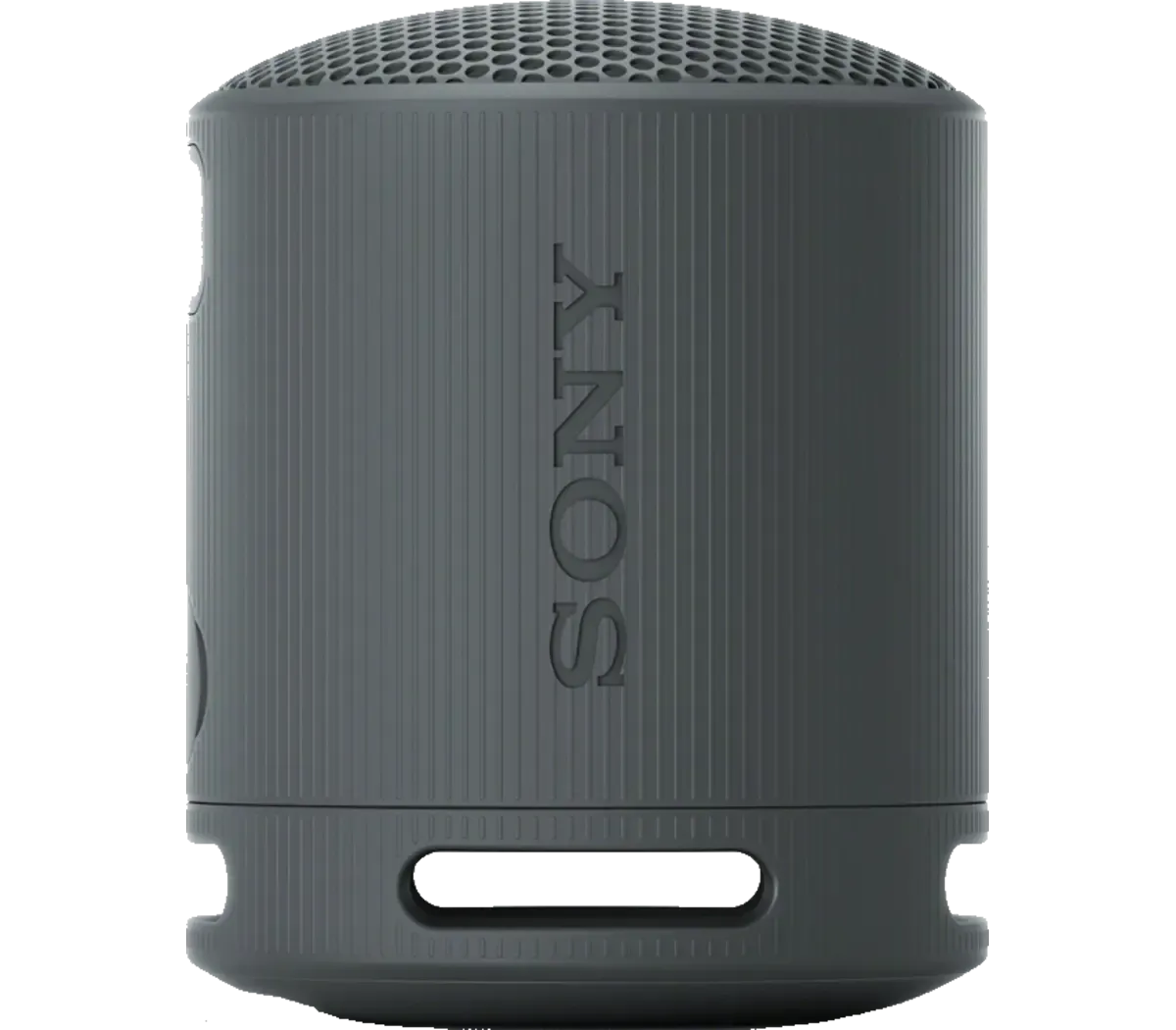 SONY SRS-XB100