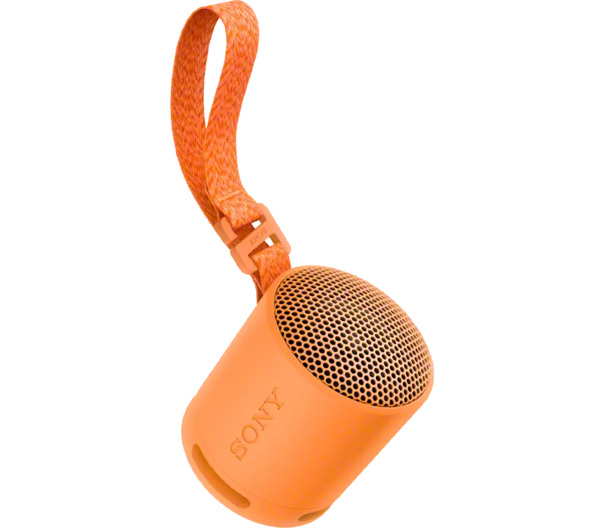 SONY SRS-XB100